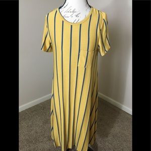 LuLaRoe Carly Dress